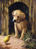 Maľovanie podľa čísiel formát A4 - Šteniatko labradora