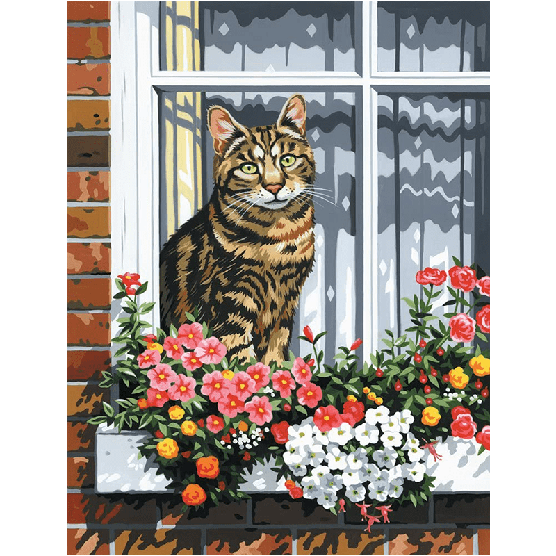 Maľovanie podľa čísiel na plátno - Mačka v okne